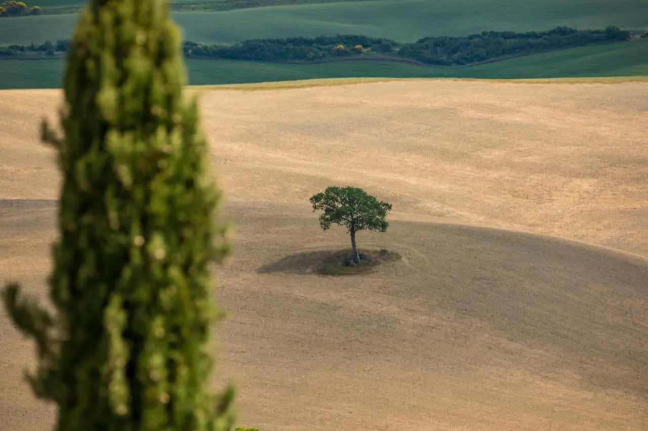Alloggio per agriturismo Agriturismo La Poderina Bagno Vignoni